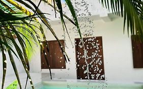 Sri Lanka Surf Villa Domus Graziella